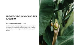 The Benefits Of Avocado - Bellissimo Design Del Sito Web