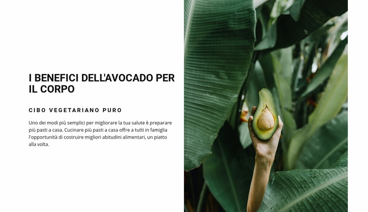 The benefits of avocado Modello