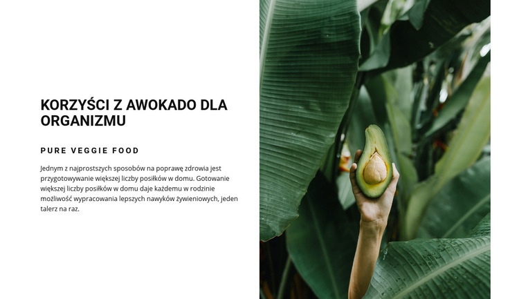 The benefits of avocado Makieta strony internetowej