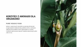 The Benefits Of Avocado - Szablony Projektów Stron Internetowych