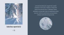 Winter Tale Prosty Szablon CSS