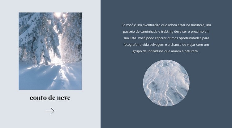 Winter tale Construtor de sites HTML