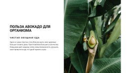 The Benefits Of Avocado – Красивый Дизайн Сайта