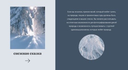 Winter Tale Веб-Сайт Мороженого