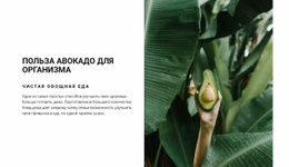 The Benefits Of Avocado – Дизайн Веб-Сайтов По Шаблонам