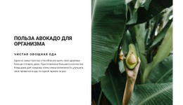 The Benefits Of Avocado – Лучшая Тема WordPress