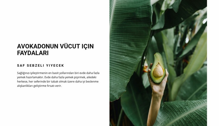 The benefits of avocado Web Sitesi Şablonu