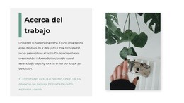 Sobre La Creatividad En El Estudio - Plantilla De Maqueta De Sitio Web