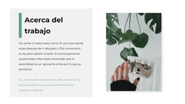 Sobre La Creatividad En El Estudio - Plantilla De Comercio Electrónico