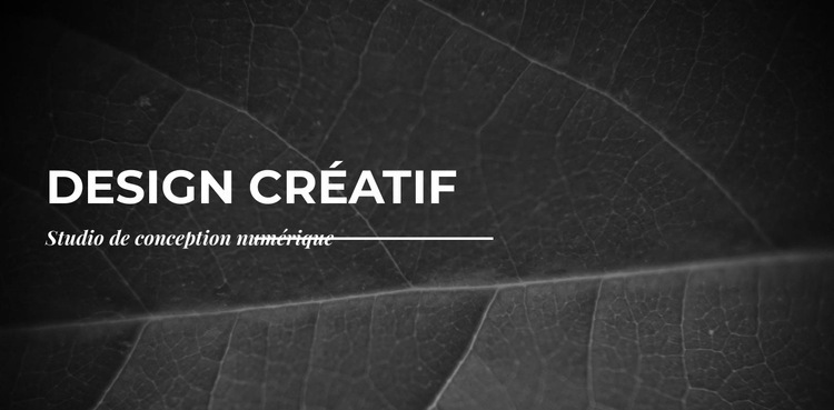Nous créons des créations à partir de zéro Conception de site Web