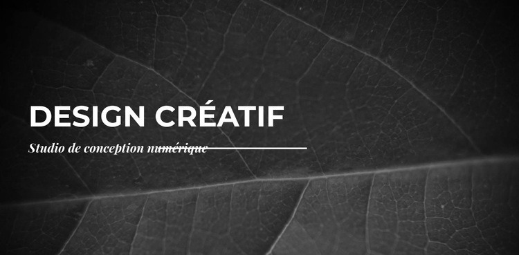 Nous créons des créations à partir de zéro Créateur de site Web HTML