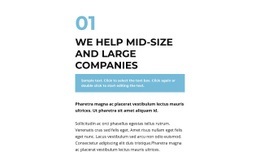 Large Group Of Texts - Html Code