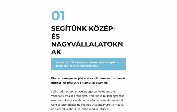 Szövegek nagy csoportja HTML Sablon