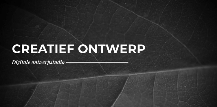 Wij creëren creatievelingen vanaf het begin Html Website Builder