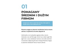 Duża Grupa Tekstów - Szablon Strony Biznesowej Premium