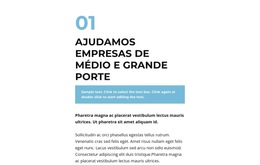 Grande Grupo De Textos - Modelo De Site Comercial Premium