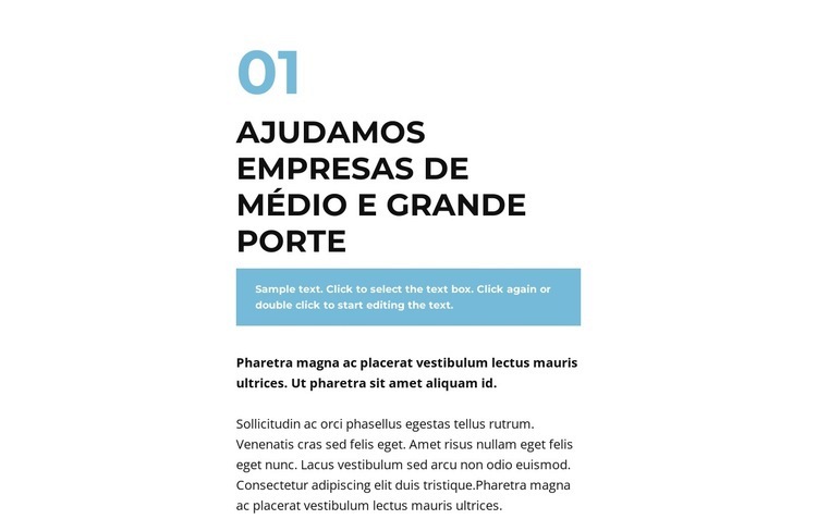 Grande grupo de textos Landing Page