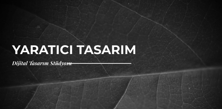 Sıfırdan kreatifler yaratıyoruz WordPress Teması