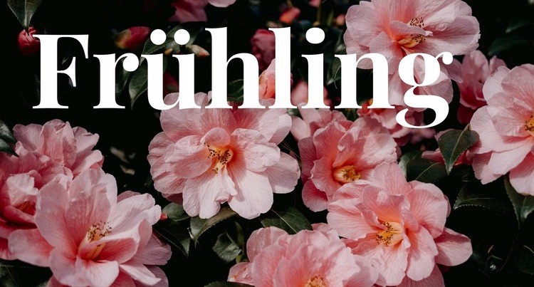 Frühling Website-Modell