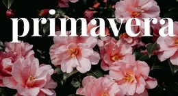 Primavera