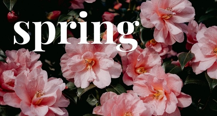 Springtime Homepage Design
