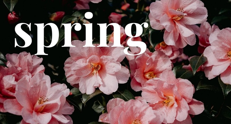 Springtime HTML5 Template