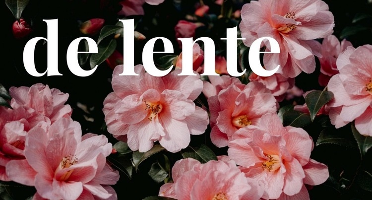 Lente Bestemmingspagina