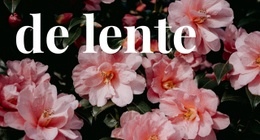 Lente