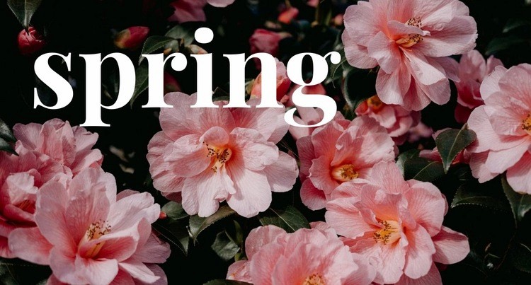 Springtime Squarespace Template Alternative