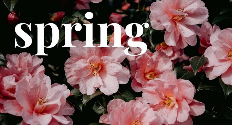 Springtime Web Page Design