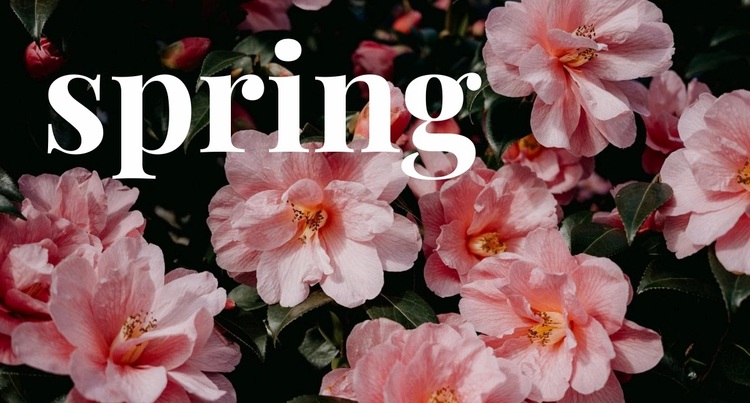 Springtime Website Design