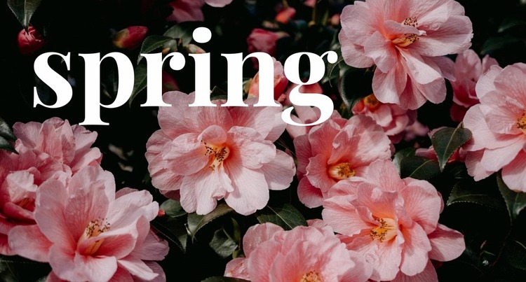 Springtime Website Mockup