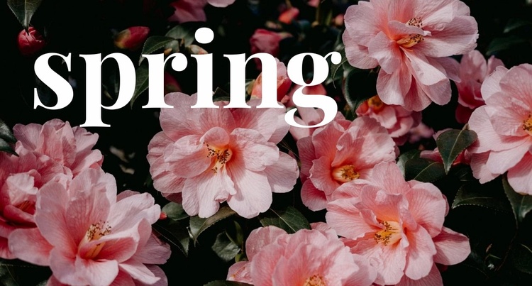 Springtime Website Template