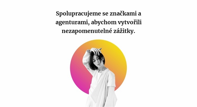 Spolupráce designéra Šablona HTML