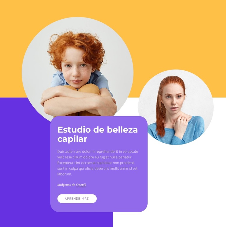 estudio de belleza capilar Tema de WordPress