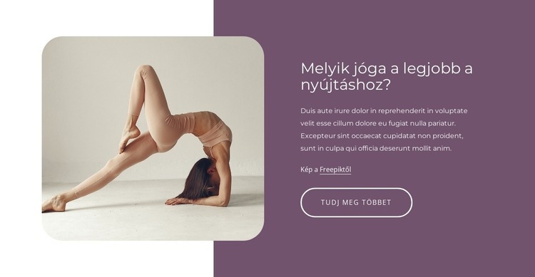 A legjobb nyújtó gyakorlatok WordPress Téma