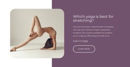 Best Stretching Exercises