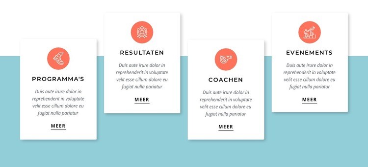 Functies sectie: Website mockup