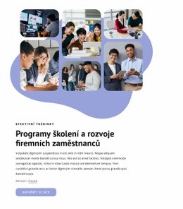 Firemní Školení Zaměstnanců - Webová Šablona