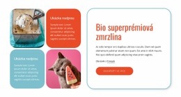 Design Webových Stránek Bio Zmrzlina Pro Jakékoli Zařízení