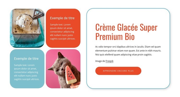 Glace bio Conception de site Web