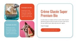 Glace Bio Modèle