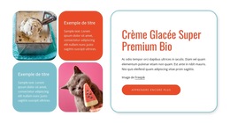 Glace Bio - Modèle Web