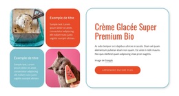 Glace Bio - Thème WordPress Premium