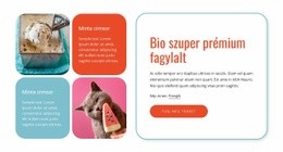 Webhelytervezés Bio Fagylalt Bármilyen Eszközhöz