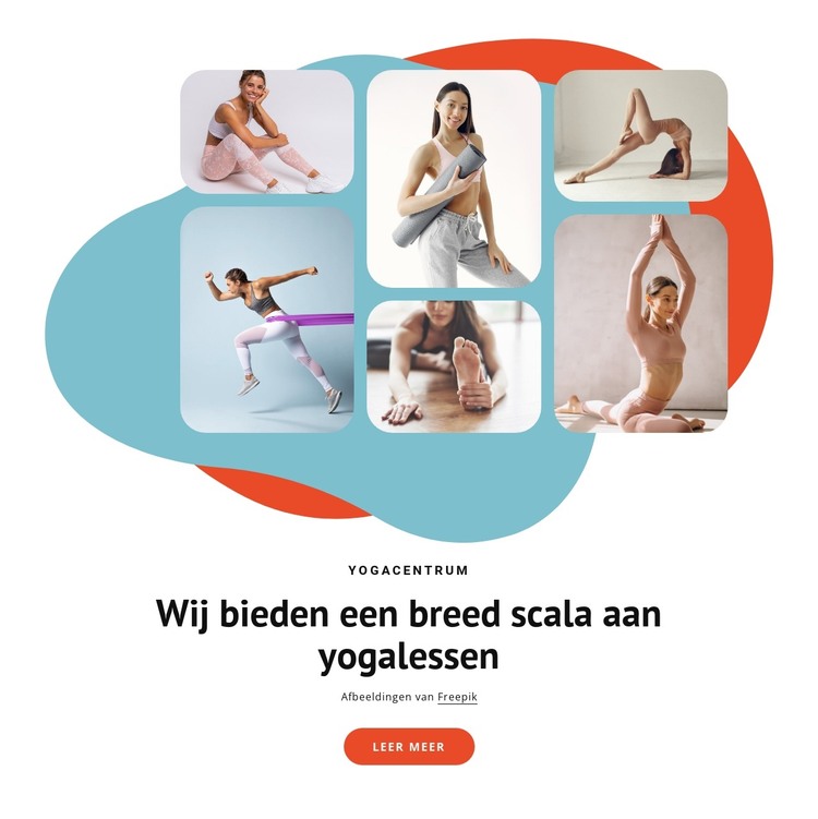 De meest voorkomende yogastijlen HTML-sjabloon