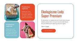 Lody Ekologiczne - Premium Motyw WordPress