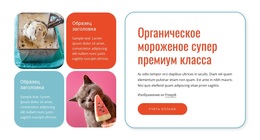 Органическое Мороженое – Премиум-Тема WordPress