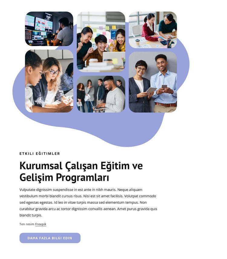 Kurumsal çalışan eğitimi CSS Şablonu