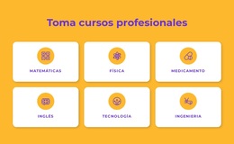 Programas De Certificados Profesionales - Tema De Funcionalidad De WordPress